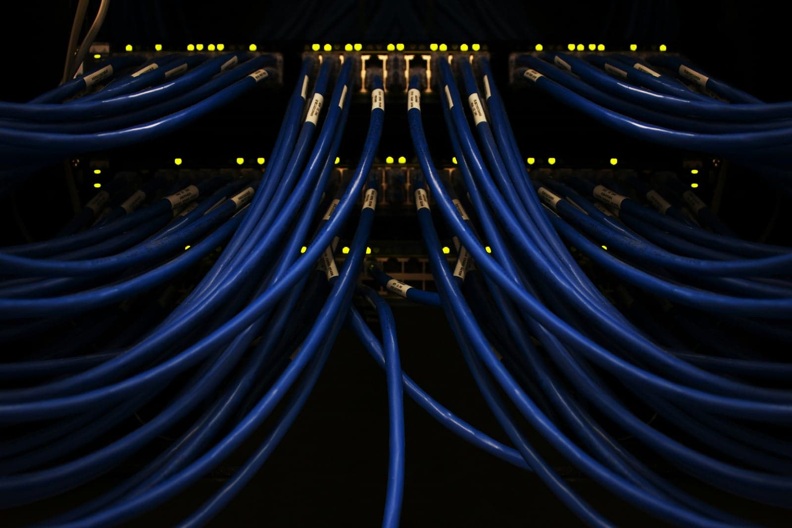Dozens of blue network cables plugged into switches in a dark server rack